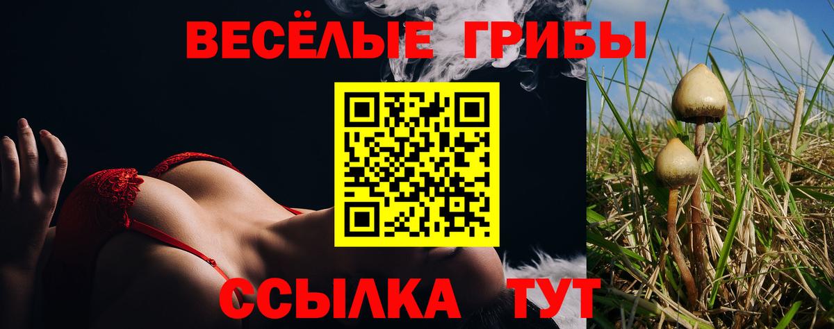 Галлюциногенные грибы мицелий Краснознаменск