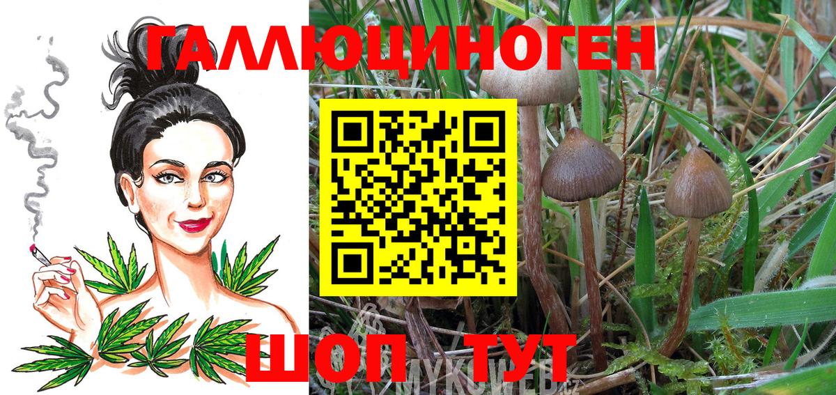 Псилоцибиновые грибы ЛСД  Вход с VPN  Псилоцибиновые грибы MAGIC MUSHROOMS  Краснознаменск 